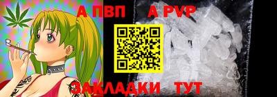 прущие крисы Кингисепп