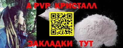 прущие крисы Кингисепп