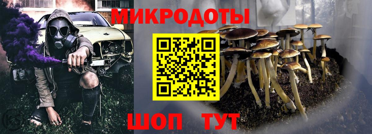 Раменское  купить наркотики сайты  Псилоцибиновые грибы ЛСД  Вход с VPN  Галлюциногенные грибы Cubensis 